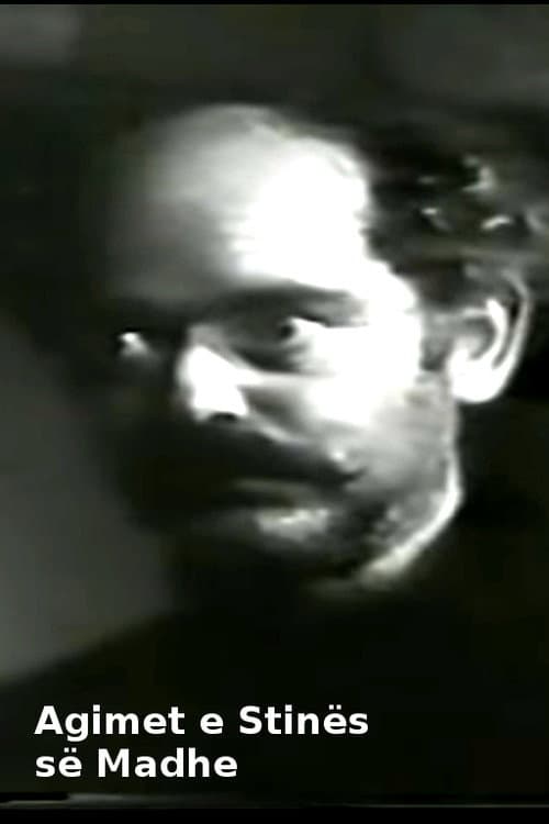 Agimet e stinës së madhe (1981) poster