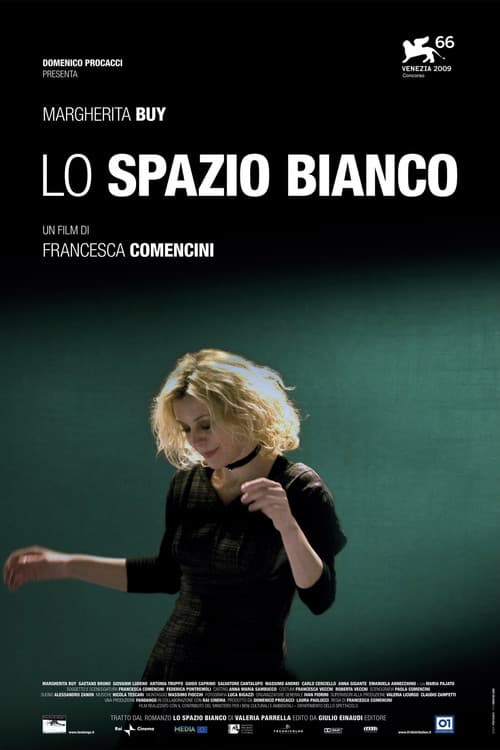 The White Space (2009) poster