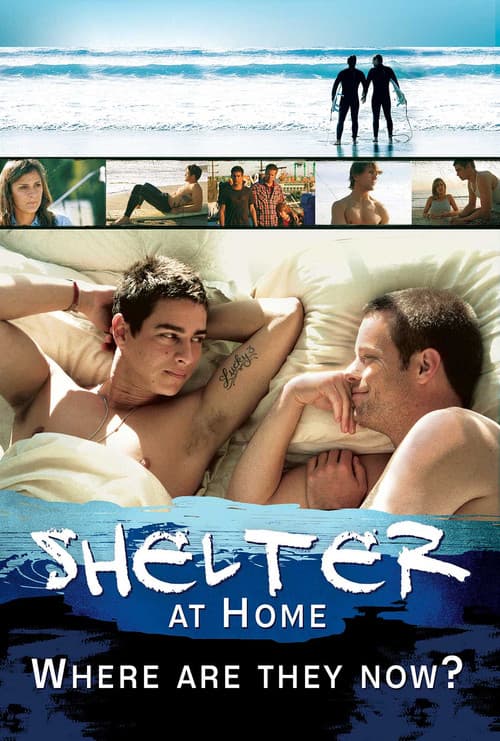Shelter at Home: Where Are They Now? (2020) poster
