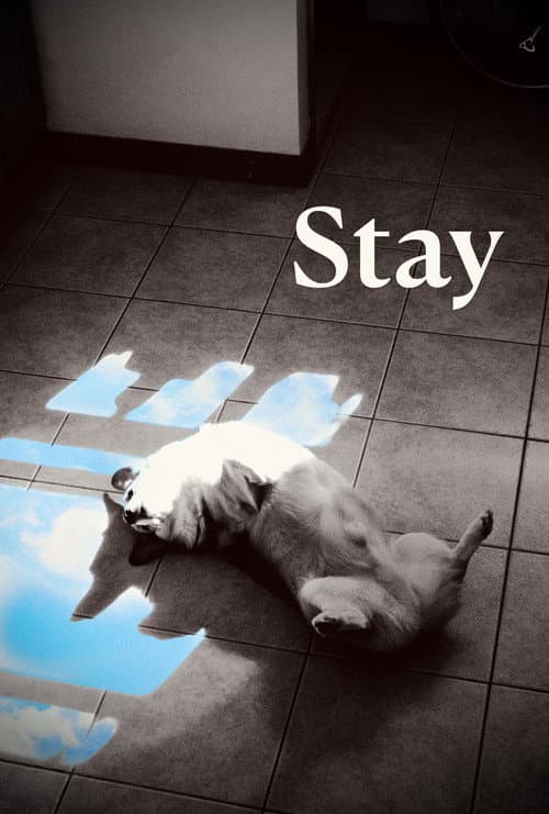 Stay (2026) poster