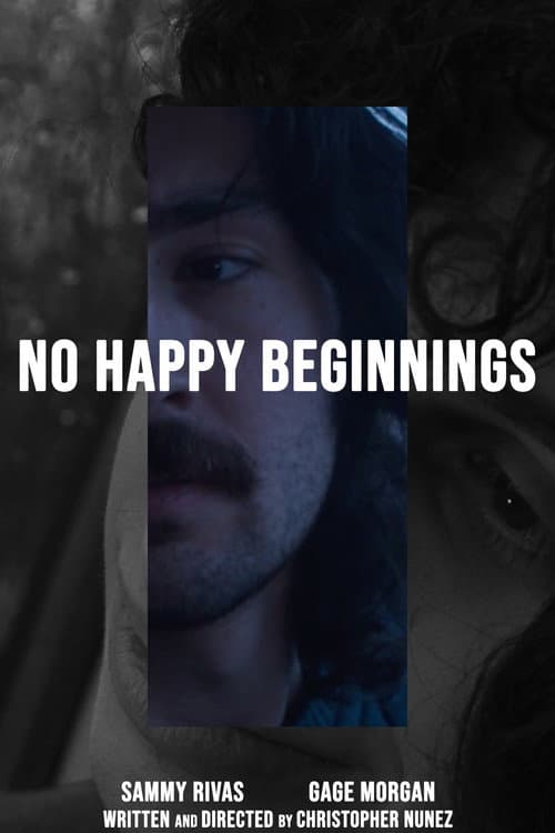No Happy Beginnings (2026) poster