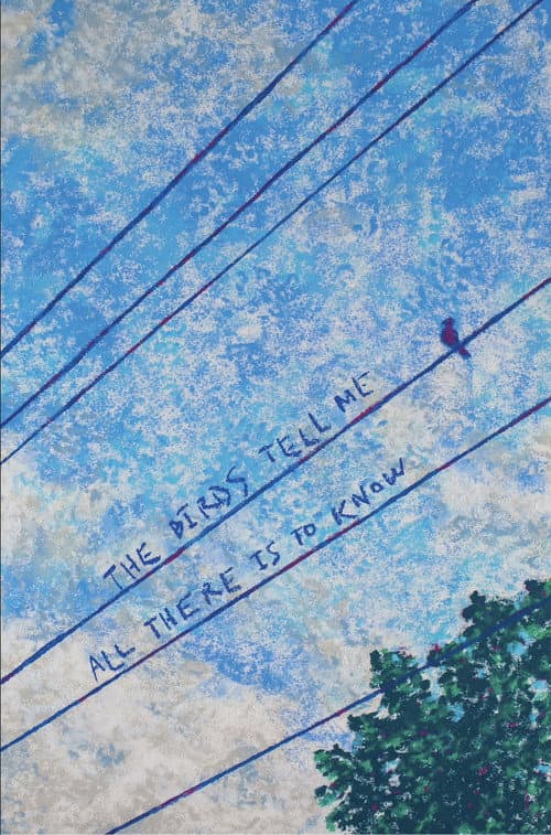 The Birds Tell Me All There Is to Know (2026) poster