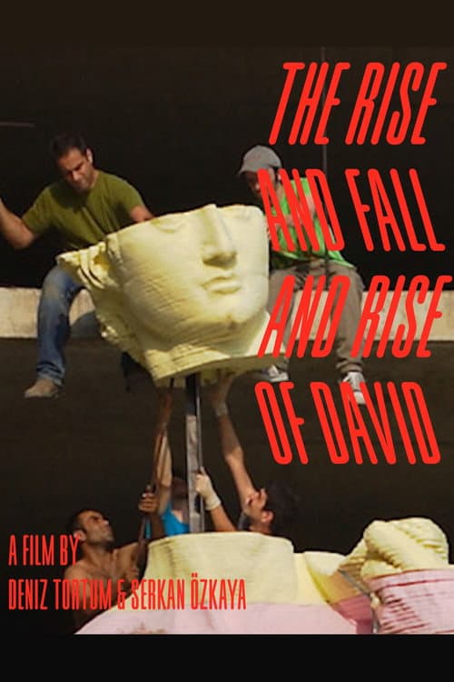 The Rise and Fall and Rise of David (2016) poster