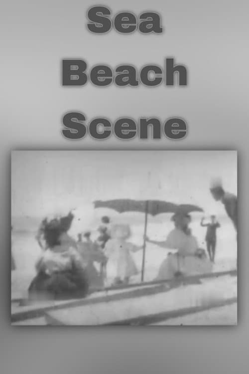 Sea Beach Scene (1896) poster