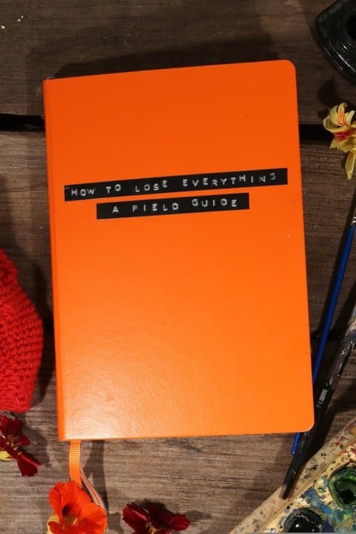 How to Lose Everything: A Field Guide (2021) poster