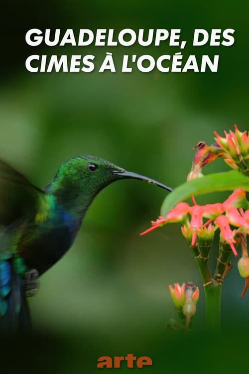 Guadeloupe, des cimes à l'océan (2019) poster