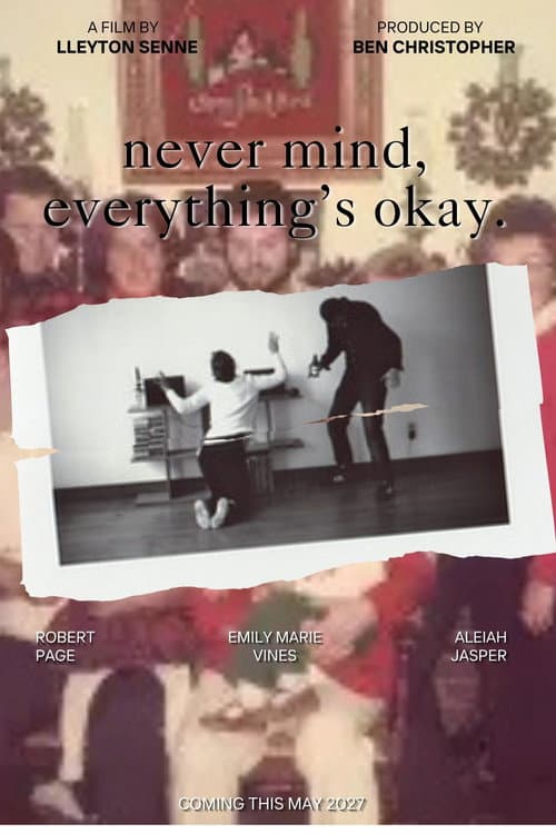 never mind, everything's okay. (2027) poster