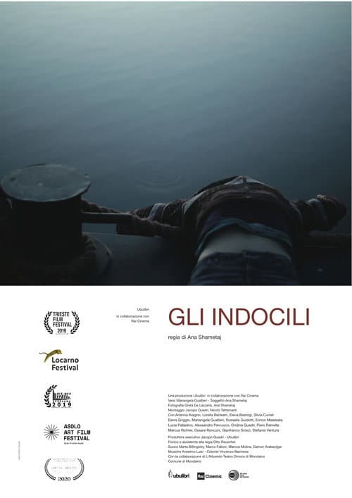Gli indocili (2019) poster