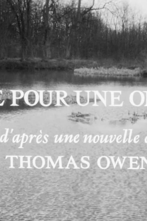 Pitié pour une ombre (1967) poster