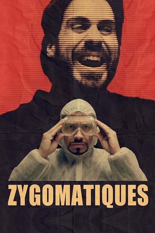 Zygomatiques (2013) poster