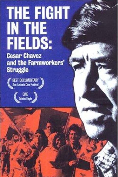 The Fight In The Fields (1997) poster