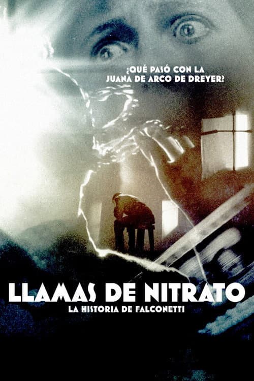 Llamas de nitrato (2015) poster