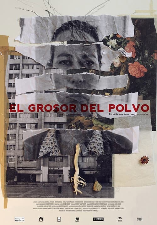 El Grosor del Polvo (2023) poster