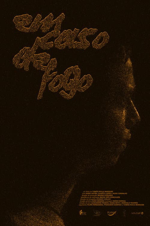 Em Caso de Fogo (2019) poster