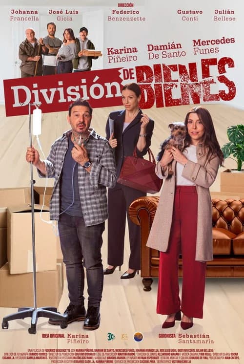 División de Bienes (2025) poster