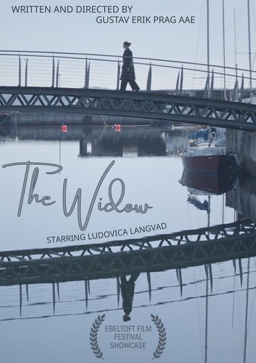 The Widow (2025) poster