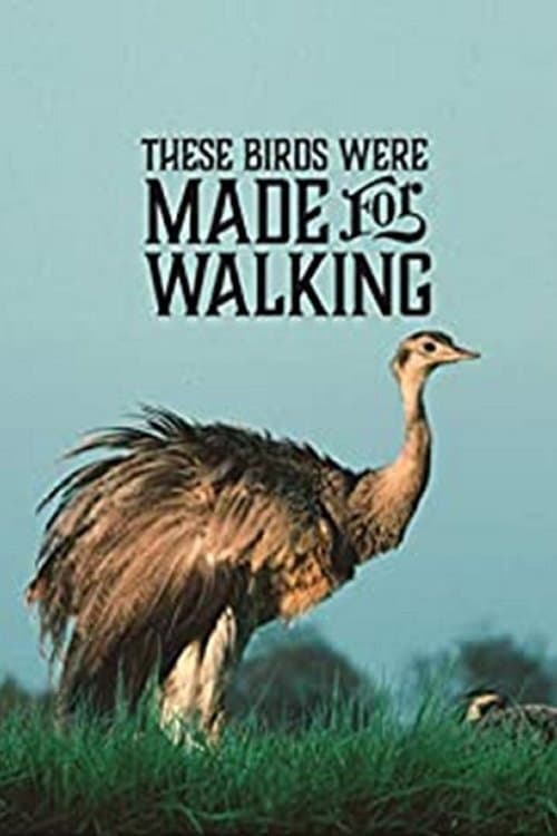 These Birds Were Made for Walking (2020) poster