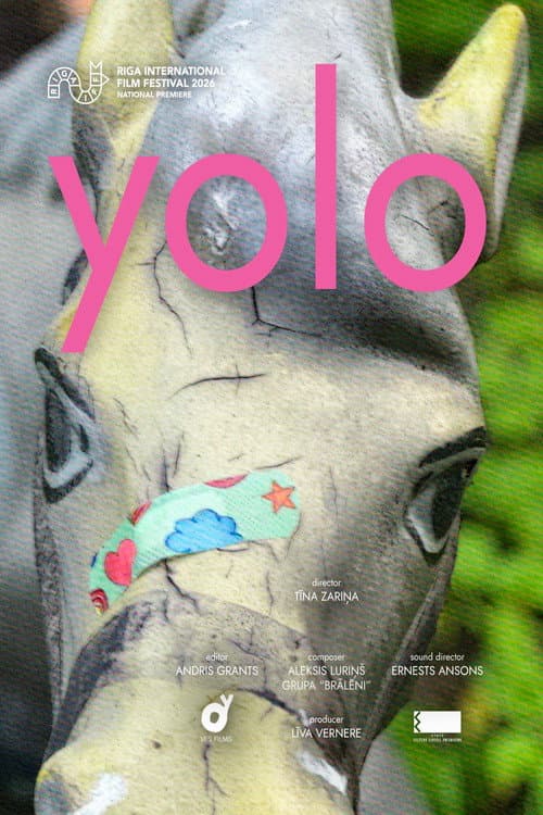 yolo (2026) poster