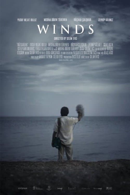 Rüzgarlar (2013) poster