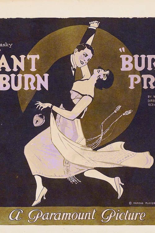 Burglar Proof (1920) poster
