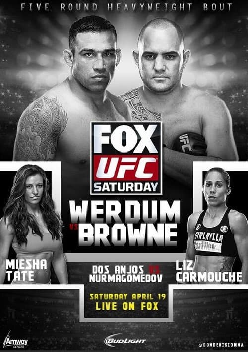 UFC on Fox 11: Werdum vs. Browne (2014) poster