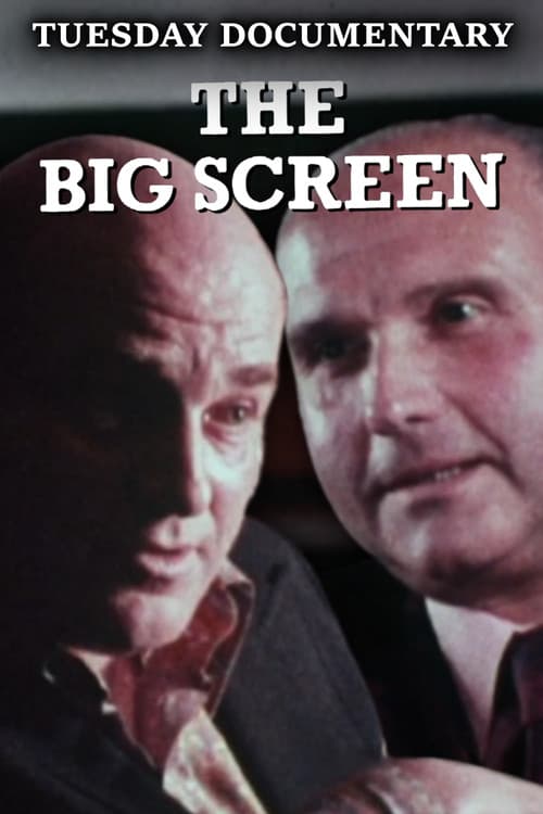 The Big Screen (1973) poster