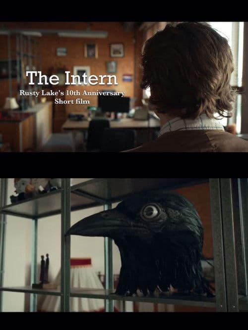 The Intern (2025) poster