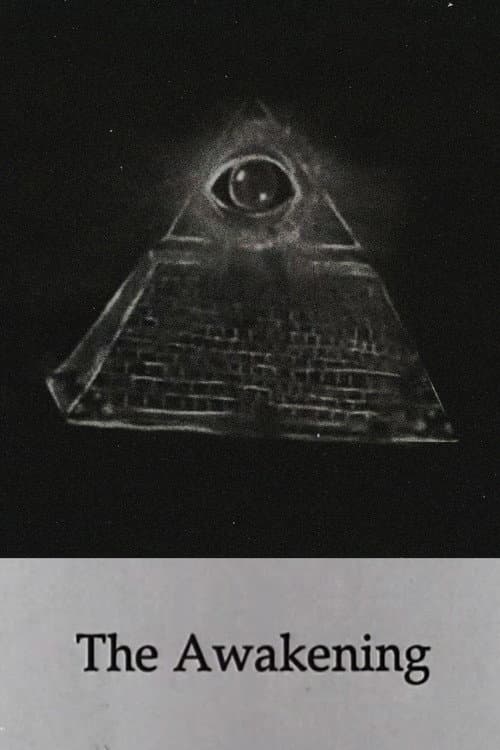 The Awakening (1990) poster