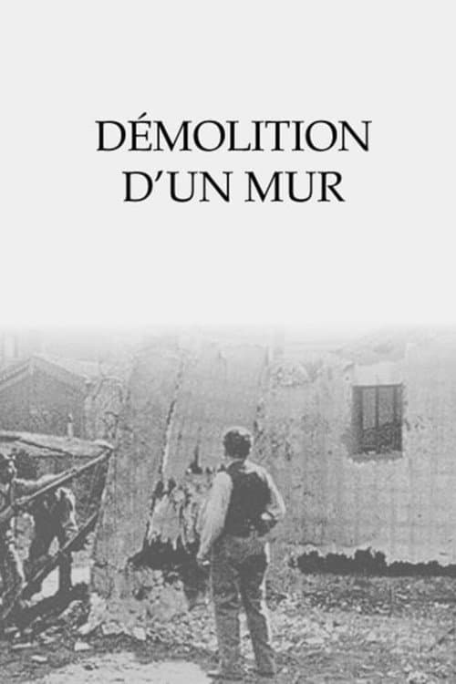 Démolition d'un mur (1896) poster