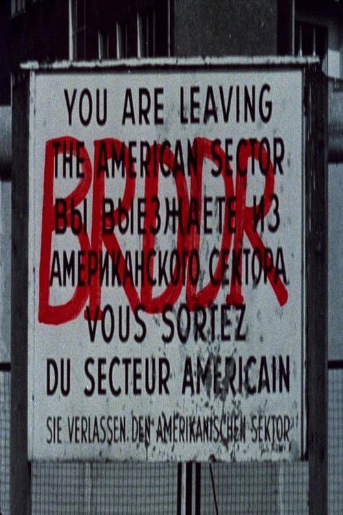 BRDDR (1981) poster