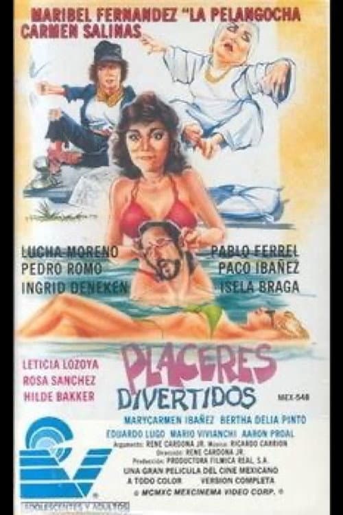 Placeres divertidos (1989) poster