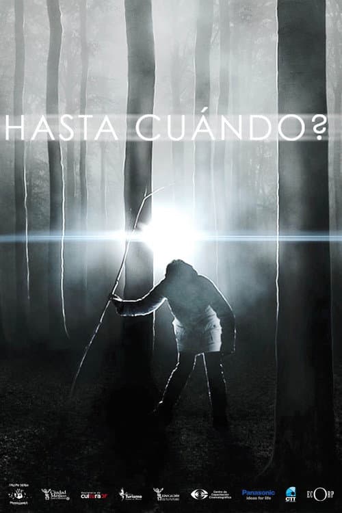 Hasta cuando? (2011) poster