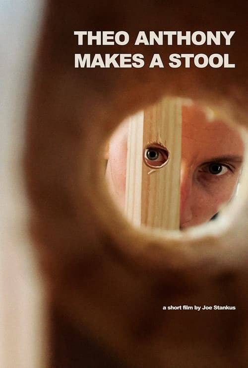 Theo Anthony Makes a Stool (2022) poster