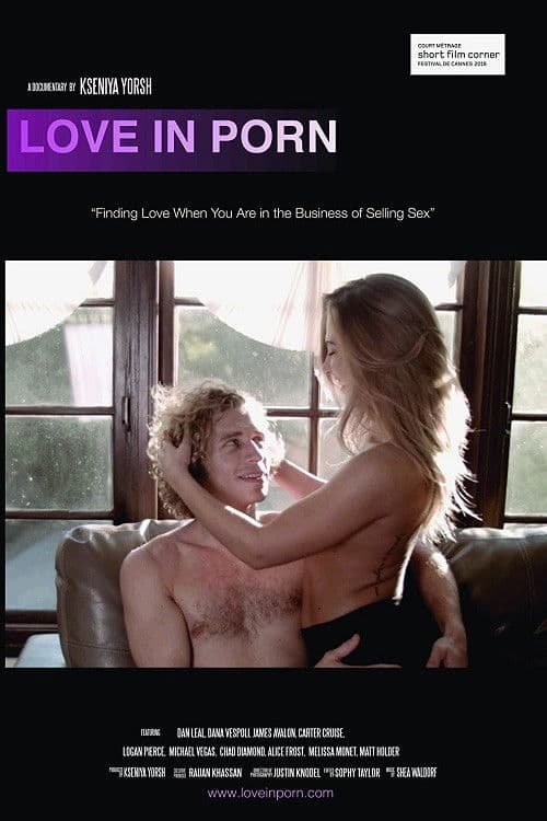 Love in Porn (2016) poster