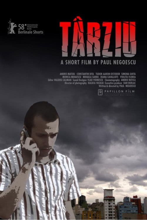 Târziu (2008) poster