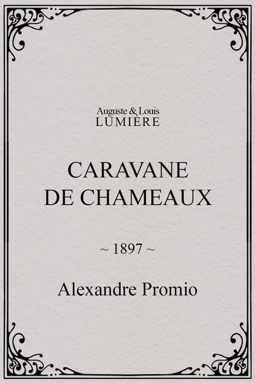Caravane de chameaux (1897) poster