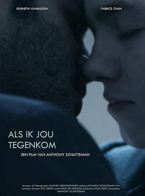 Als ik jou tegenkom (2010) poster