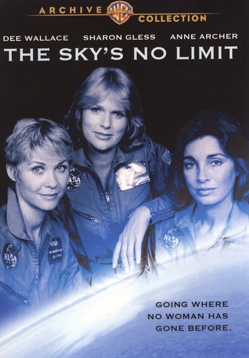 The Sky's No Limit (1984) poster