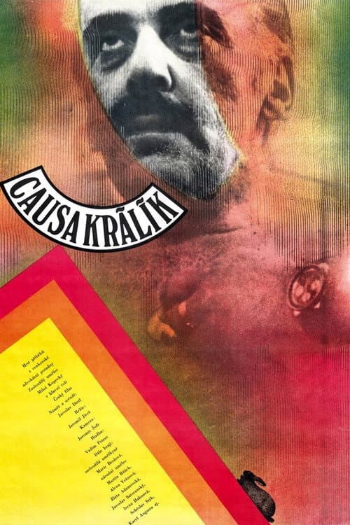 Causa Králík (1980) poster