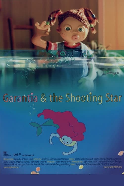 Garantia & stjärn-fallet (2006) poster