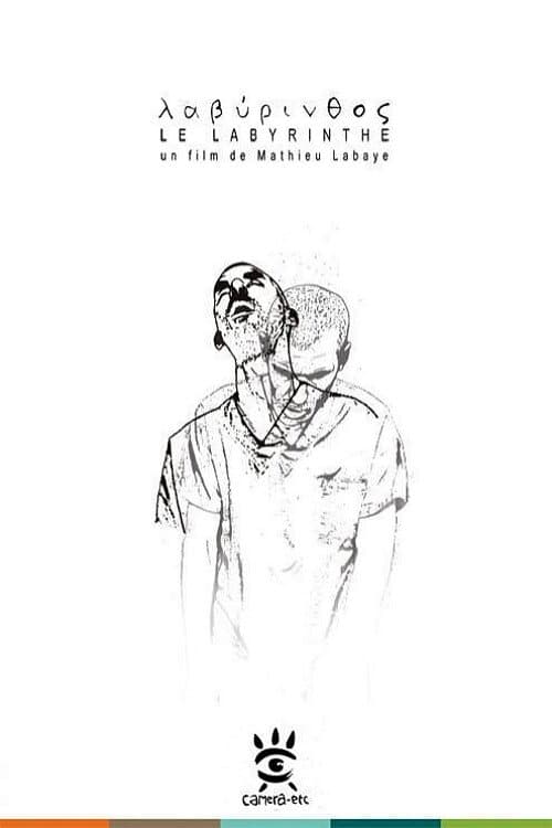 Le labyrinthe (2013) poster