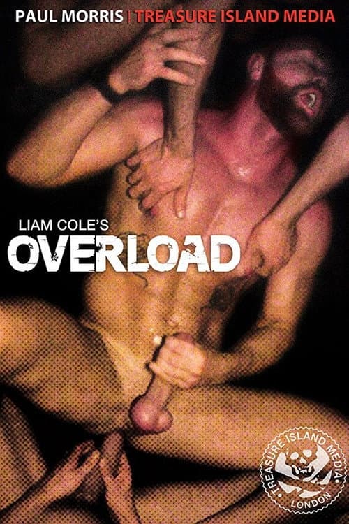 Overload (2013) poster