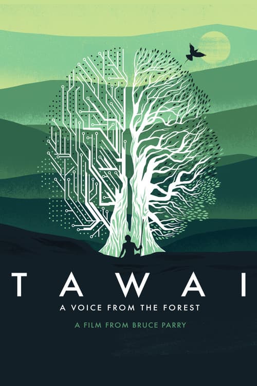 Tawai: A Voice from the Forest (2017) poster