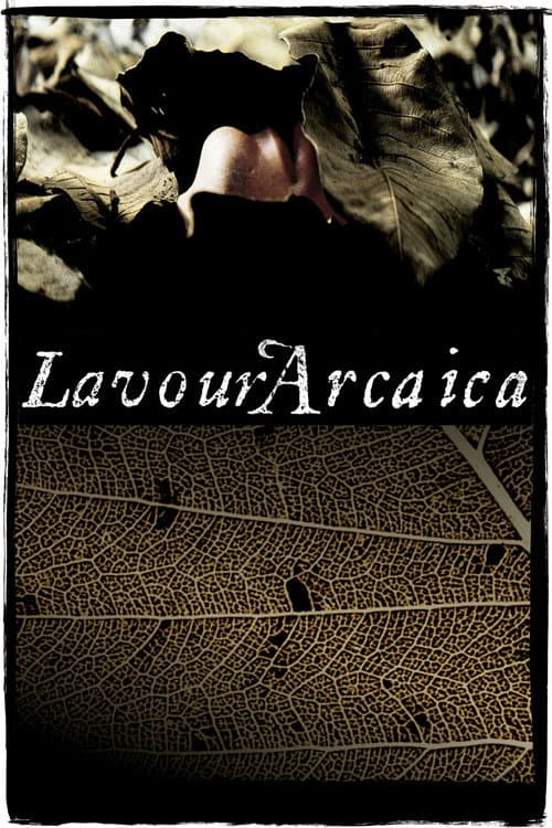 Lavoura Arcaica (2001) poster