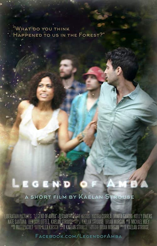 Legend of Amba (2015) poster