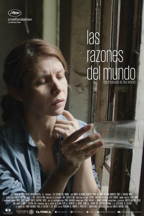 Las Razones del Mundo (2015) poster