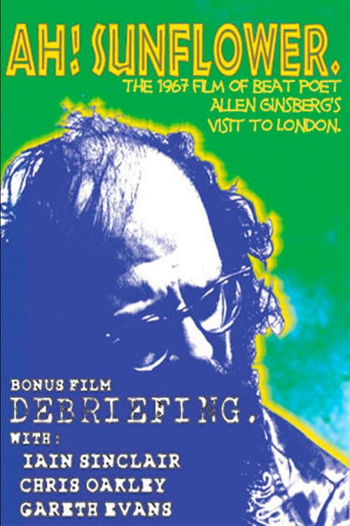 Ah, Sunflower (1967) poster