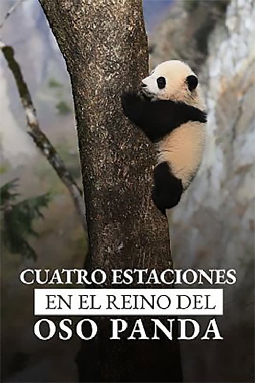 4 Saisons Au Royaume Du Panda (2022) poster