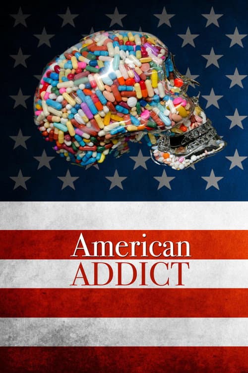 American Addict (2012) poster