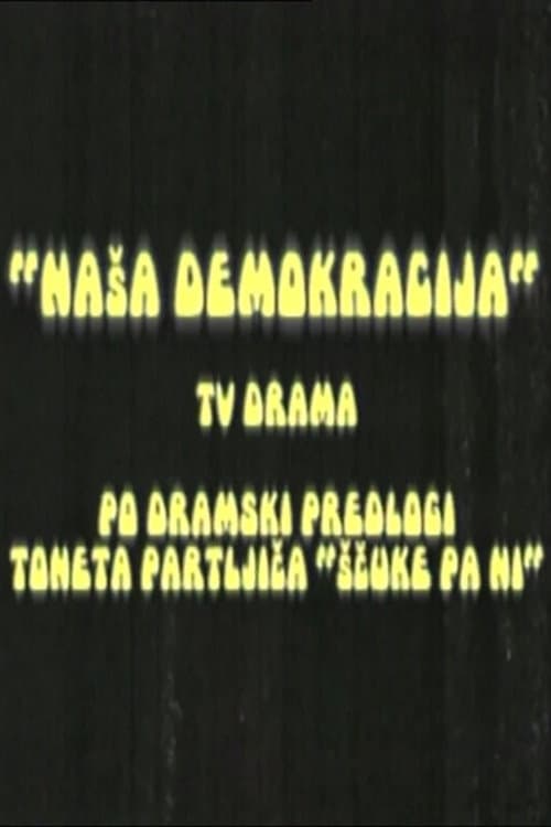 Naša demokracija (2010) poster